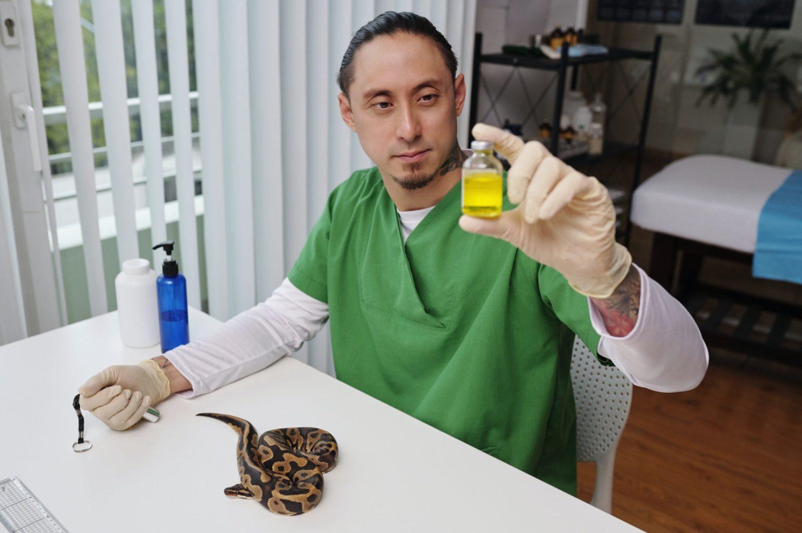 snake envenomation for your pets