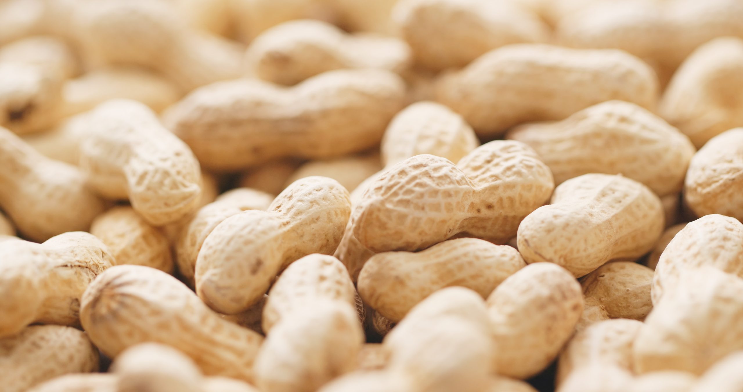 Peanut Allergy Epidemic American Medical Compliance